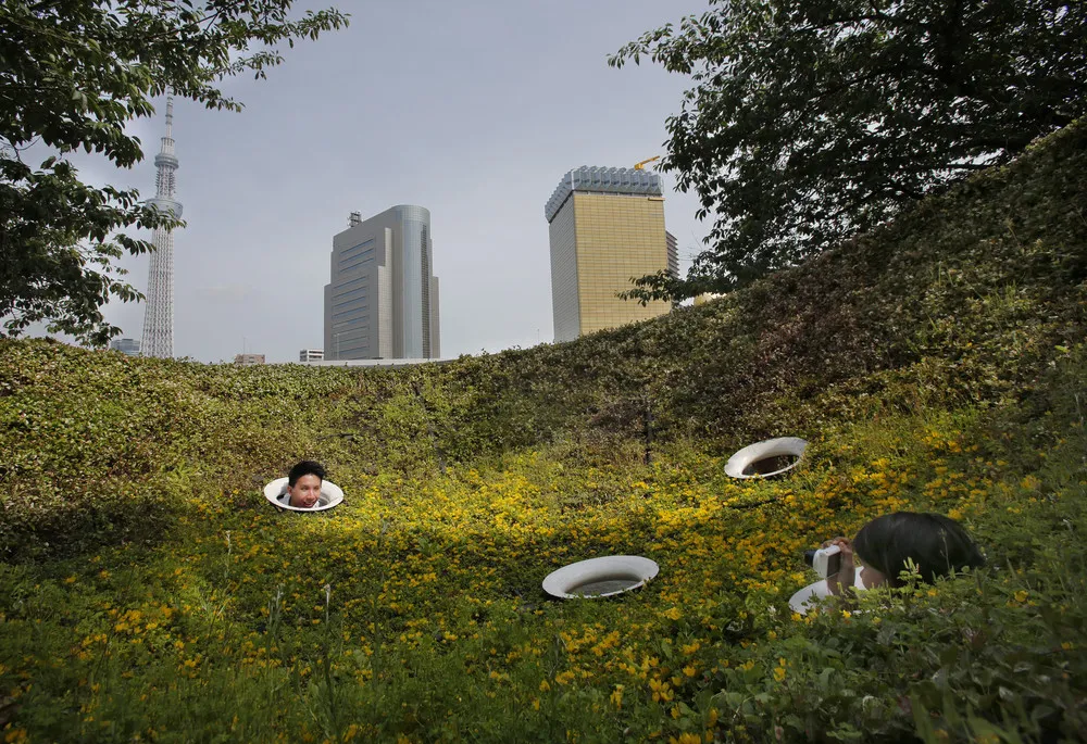 The Week in Pictures: May 17 – May 24, 2014. Part 4/5