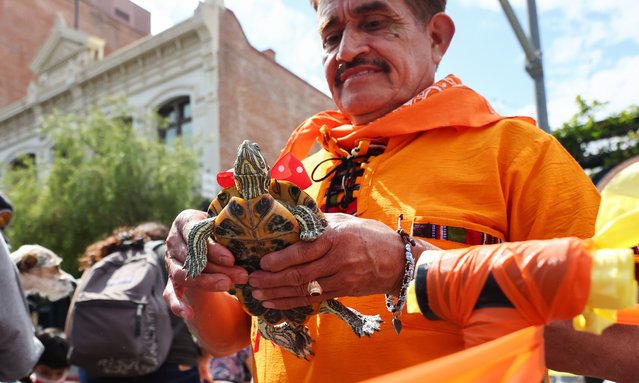 A person holds a turtle after it was blessed during the annual Blessing of the Animals ceremony, presided over by Archbishop Jose H. Gomez, on April 16, 2022 in Los Angeles, California. Angelenos brought dogs, cats, birds, goats, snakes and other animals to the event which is normally held the day before Easter. The tradition dates back to 1930 in Los Angeles and was not held in 2020 or 2021 due to the COVID-19 pandemic. (Photo by Mario Tama/Getty Images)
