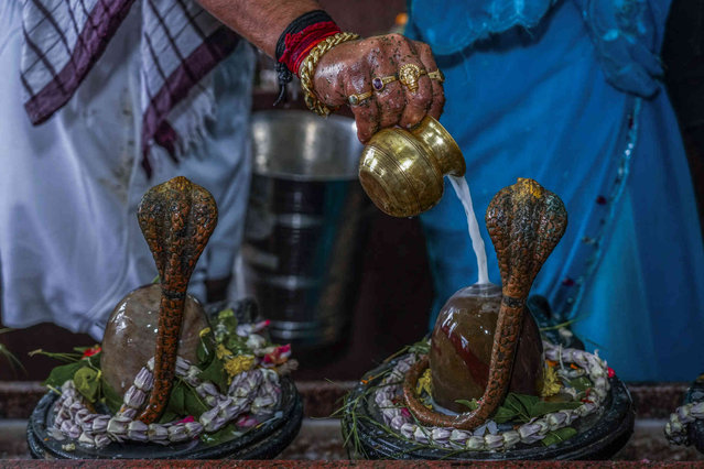 A devotee pours milk on the rows of Shiva Linga, the stone replica of Hindu god Shiva, as Hindus offer prayer during “Shravan Somwar”, the last Monday of the Hindu calendar month Shravan, they consider auspicious in Kolkata, India, Monday, August 12, 2024. (Photo by Bikas Das/AP Photo)