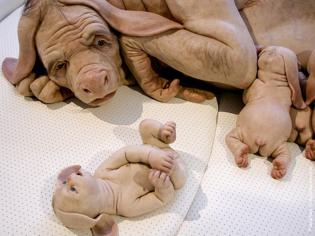 Young Family by Patricia Piccinini