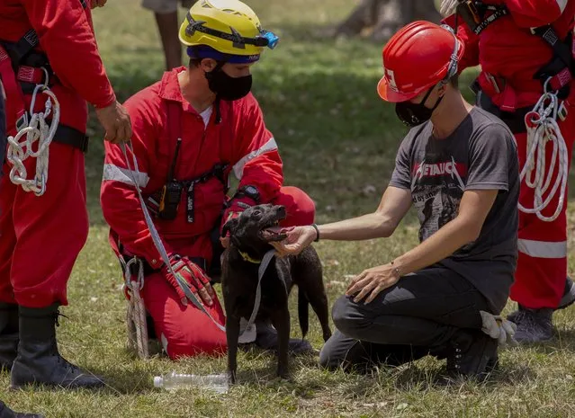 Members of the Red Cross play with a dog that was rescued from the rubble at the site of a deadly explosion that destroyed the five-star Hotel Saratoga in Old Havana, Cuba, Sunday, May 8, 2022. (Photo by Ismael Francisco/AP Photo)
