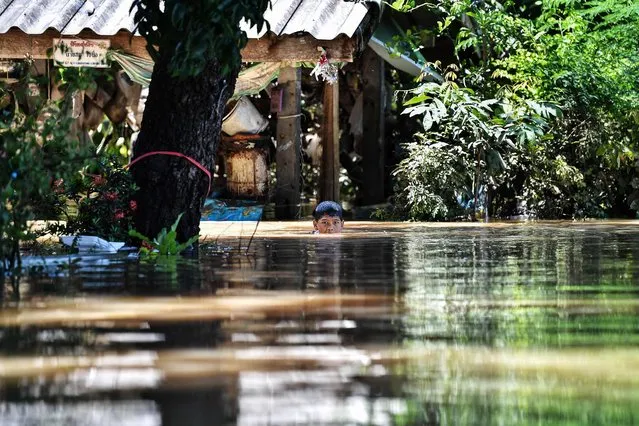A boy swims through a flooded village in the central Thai province of Lopburi on September 28, 2021, as tropical storm Dianmu caused flooding in 30 provinces across the country. (Photo by Lillian Suwanrumpha/AFP Photo)