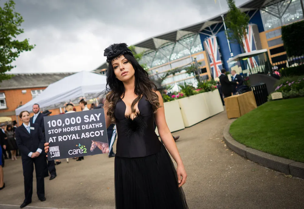 The Day in Photos – June 18, 2016