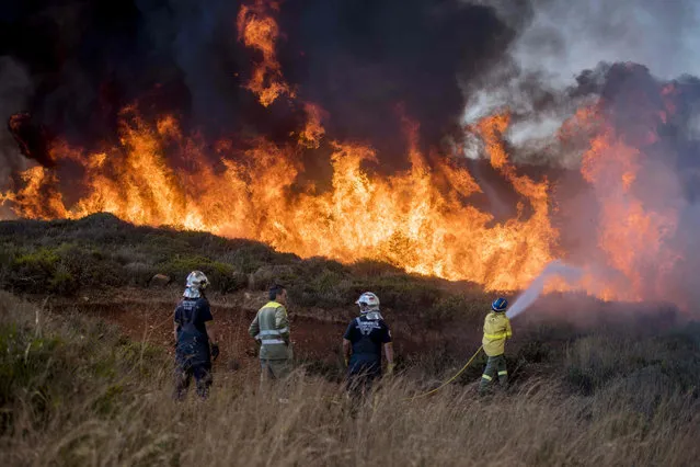 Fire fighters try to put out a forest fire near Torre Nueva beach near La Linea de la Concepcion in the southern Spanish region of Cadiz, Andalusia, on July 12, 2016. (Photo by Marcos Moreno/AFP Photo)