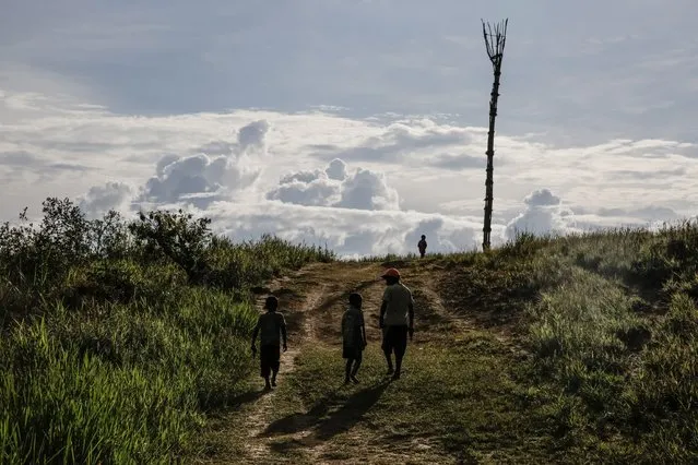 Boys from the Dani tribe walk on a field at Soroba Village on August 9, 2014 in Wamena, Papua, Indonesia. (Photo by Agung Parameswara/Getty Images)