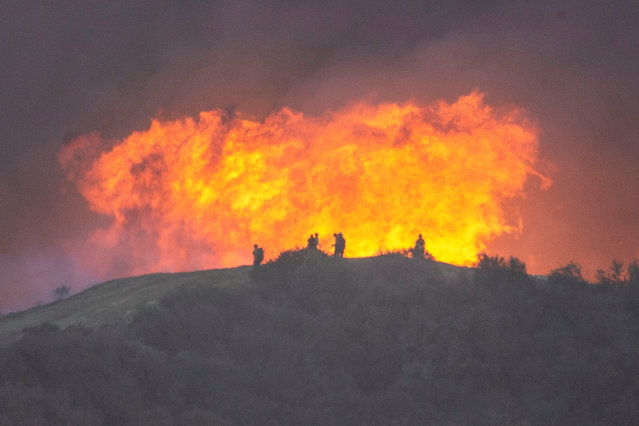 Firefighters battle the Palisades Fire, one of simultaneous blazes that have ripped across Los Angeles County, as seen from the Tarzana neighborhood of Los Angeles, California, U.S. January 11, 2025. (Photo by Ringo Chiu/Reuters)