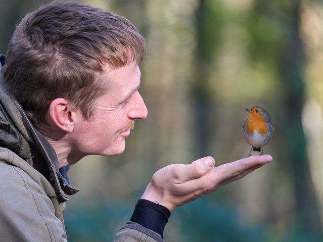 Will Hall, a wildlife photographer, meets one of the locals on a visit to Stover Country Park in Devon, UK, 2024. (Photo by Alice Johnston/Animal News Agency)