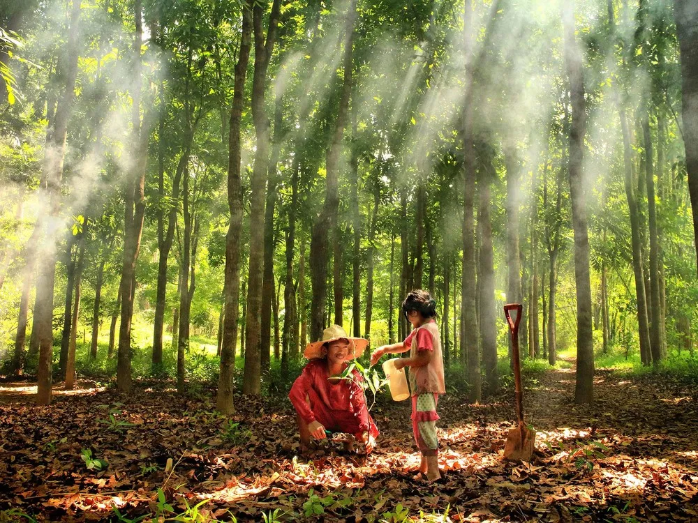 Society of Biology Photography Award 2014