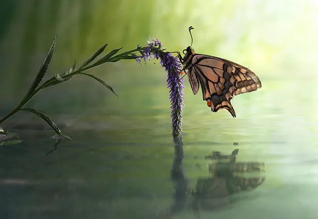 Photo by Vadim Trunov