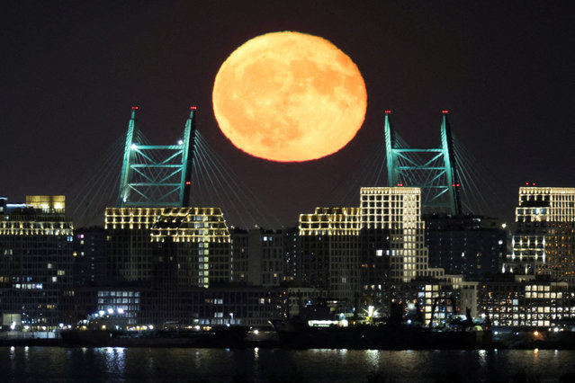 The full moon rises behind a bridge of the Western High-Speed Diameter (WHSD) highway in Saint Petersburg, Russia on May 13, 2025. (Photo by Anton Vaganov/Reuters)