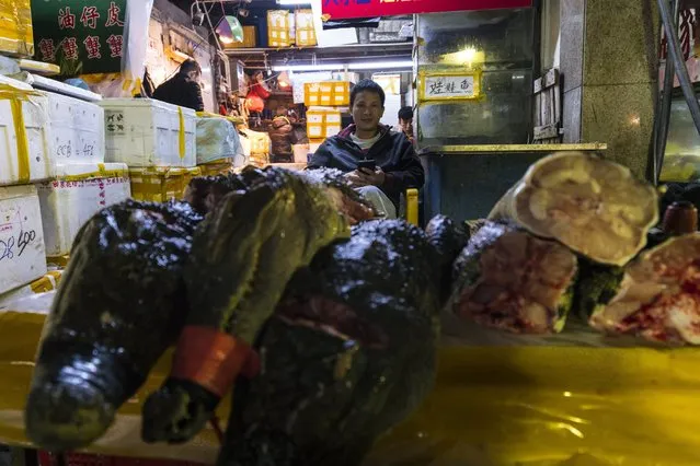 Crocodile meat parts stands on display, while salesman seats in the background on Huangsha Seafood Market in Guangzhou, Guandong Province, China, 20 January 2018. (Photo by Aleksandar Plavevski/EPA/EFE)