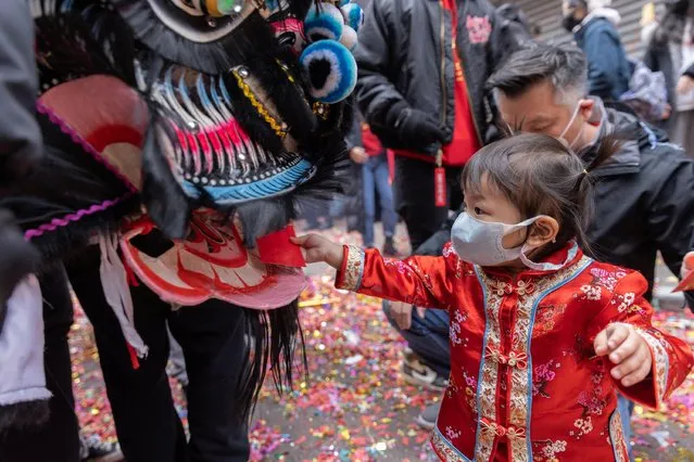 A child gives a red envelope containing money to a lion dance performer during the Lunar New Year Parade in Chinatown in New York City, U.S., January 22, 2023. (Photo by Jeenah Moon/Reuters)