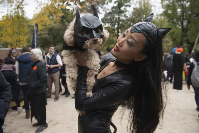 A woman dressed as Catwoman holds her dog dressed as Batman during the annual Tompkins Square Halloween Dog Parade in the Manhattan borough of New York City, October 24, 2015. (Photo by Stephanie Keith/Reuters)