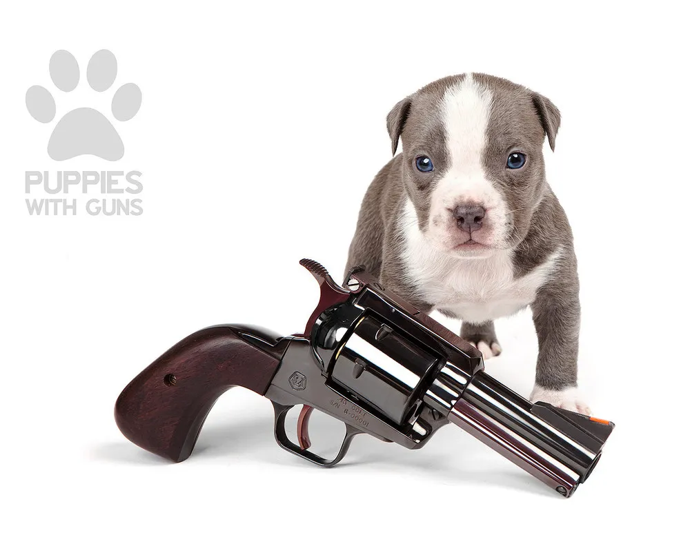 Puppies with Guns Calendar 2015