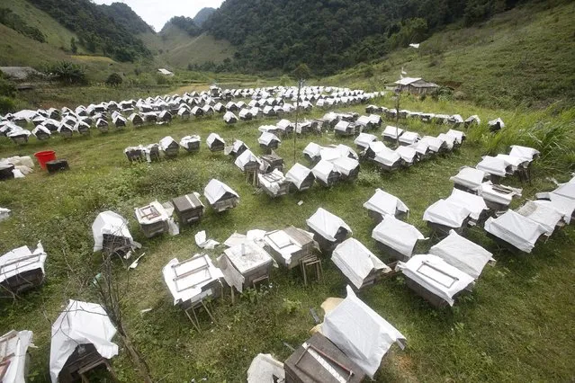 Honey bee hives are seen at a farm in Moc Chau district, northwest of Hanoi, Vietnam October 13, 2015. (Photo by Reuters/Kham)
