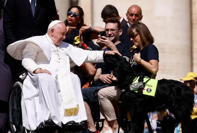 Pope Francis pets a dog after the weekly general audience in St. Peter's Square at the Vatican on May 31, 2023. (Photo by Guglielmo Mangiapane/Reuters)