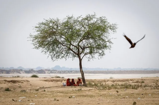Women rest under a tree on a hot summer day in Ballia District in the northern state of Uttar Pradesh, India on June 21, 2023. (Photo by Adnan Abidi/Reuters)