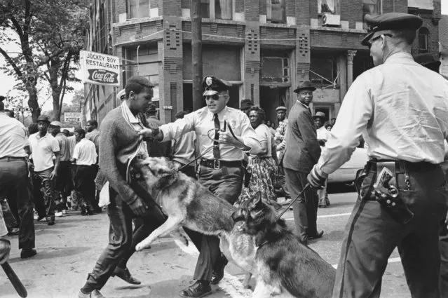 A 17-year-old civil rights demonstrator, defying an anti-parade ordinance of Birmingham, Ala., is attacked by a police dog on May 3, 1963.  On the afternoon of May 4, 1963, during a meeting at the White House with members of a political group, President Kennedy discussed this photo, which had appeared on the front page of that day's New York Times. (Photo by Bill Hudson/AP Photo)