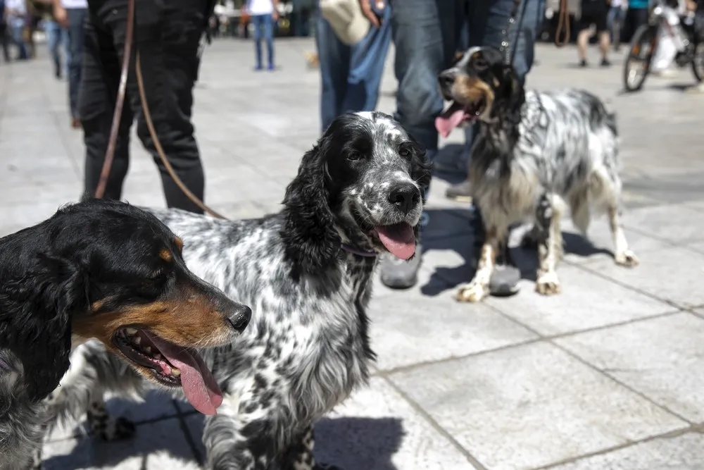 The Day in Photos – May 24, 2021