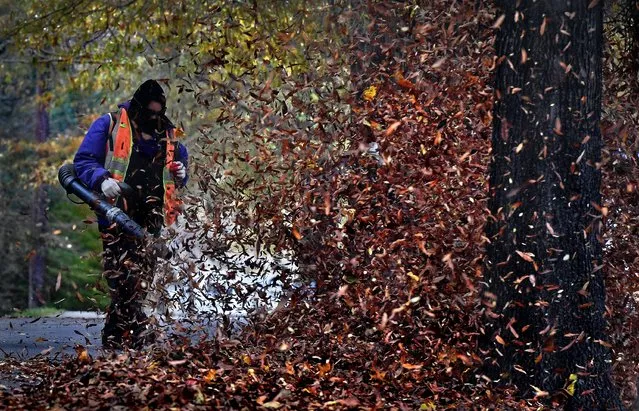 Rosaly Villalta creates a wave of swirling leaves as he uses a leaf blower to clear a sidewalk in Olney, Md. on November 24, 2018. (Photo by Michael S. Williamson/The Washington Post)