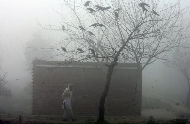 A Pakistani man walks past, during a foggy morning in Lahore, Pakistan, Tuesday, February 9, 2016. (Photo by K.M. Chaudary/AP Photo)