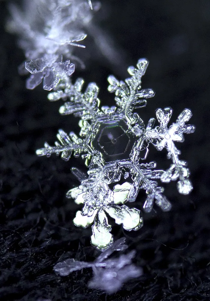 Simply Some Photos: Snowflakes