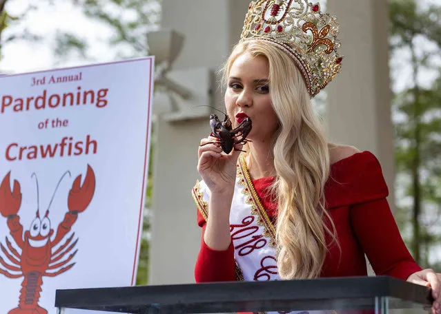 Crawfish Festival Queen Gabrielle Hebert poses for a photo with Clyde the crawfish during the 3rd annual Pardoning of the Crawfish at Cypress Lake Plaza on the campus of the University of Louisiana at Lafayette, La., Tuesday, March 12, 2019. Started in 2017 by Lt. Governor Nungesser, this unique event celebrates crawfish season in Louisiana and across the Gulf South. (Photo by Scott Clause/The Daily Advertiser via AP Photo)