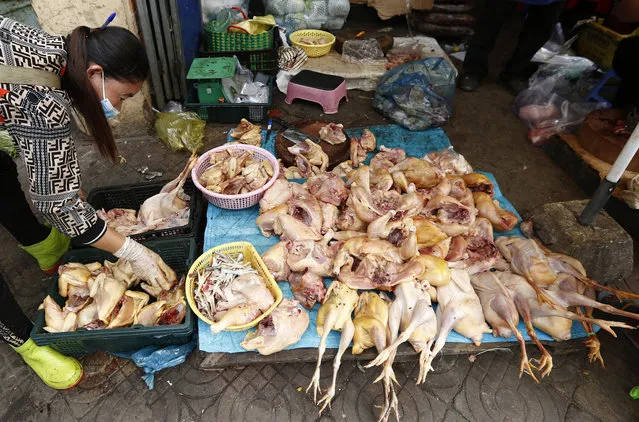 A woman sells chicken meats on a street in Phnom Penh, Cambodia, 23 July 2021. People sell vegetables and meats on the streets as markets in the city continue to close to prevent the spread of the coronavirus disease (COVID-19) pandemic, after health authorities found many cases of the Covid-19 infections among sellers and their families. (Photo by Mak Remissa/EPA/EFE)