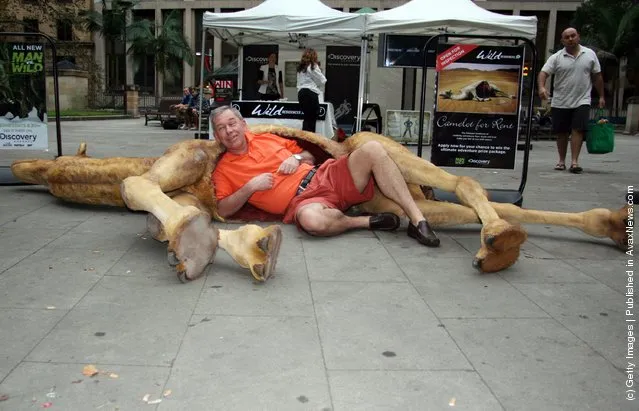 Passer inspects Camelot, a replica camel carcass simulating that used by adventurer Bear Grylls to shelter in the Sahara desert during an episode of the Discovery Channel's Man Vs. Wild