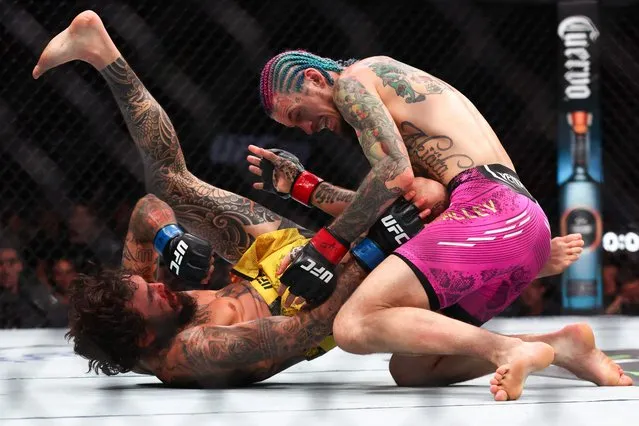 Sean O'Malley fights Marlon Vera of Ecuador during their bantamweight bout at UFC 299 at Kaseya Center on March 09, 2024 in Miami, Florida. (Photo by Megan Briggs/Getty Images/AFP Photo)