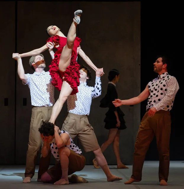 The English National Ballet rehearsing for Johan Inger’s Carmen at Sadlers Wells in London in the last decade of March 2024. (Photo by Elliott Franks/The Times)