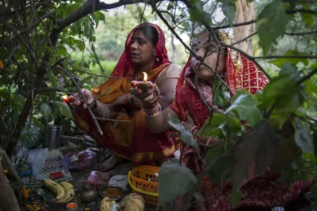 Indian Hindu women pray near a Banyan tree to seek prosperity and longevity for their husbands on Somvati Amavasya in New Delhi, India, Monday, May 18, 2015. (Photo by Tsering Topgyal/AP Photo)