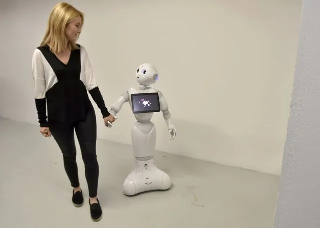 A press officer poses with “Pepper” the Humanoid Robot at the “World of Me: Store of the near future installation” in London, Britain, April 13, 2016. The robot is the first humanoid robot capable of recognising the principal human emotions and adapting his behaviour accordingly. (Photo by Hannah McKay/Reuters)