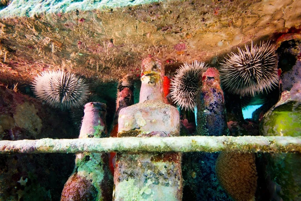 Underwater Sculpture, Part 2