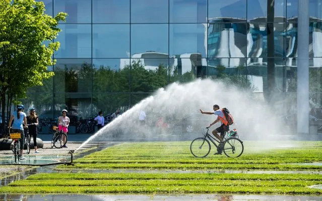 A man rides his bicycle under the water jet of a sprinkler system in Berlin, Germany, 25 June 2019. According to forecast, the temperatures should rise to almost 40 degrees Celsius in the coming days. (Photo by Jens Schlueter/EPA/EFE/Rex Features/Shutterstock)