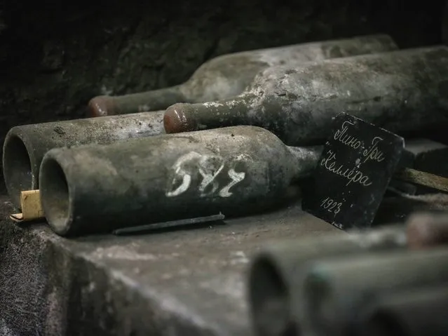 Some rare vintage wine bottles dated from 1923 lay down in the wine cellar of the Massandra winery. The winery was built between 1894 and 1897 near Yalta. The subtropical air climate of the region and the protective shields of mountain chains create unique conditions for the production of high quality fortified and dessert wines, which combined with the extraordinary architectural merit of the cellars, have earned Massandra a position as one of Ukraine's nationally important sites. (Photo by Sergei Ilnitsky/EPA)