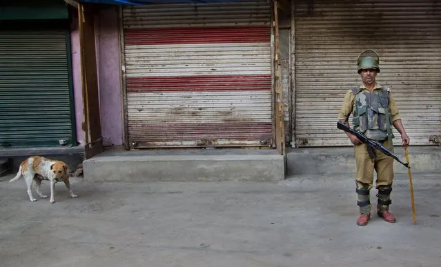 An Indian paramilitary soldier stands guard outside a closed market area in Srinagar, Indian controlled Kashmir, Thursday, May 21, 2015. Hundreds of government forces with automatic weapons patrolled the streets of Indian Kashmir's main city to stop a rally by separatists to mark the anniversaries of the assassinations of two Kashmiri leaders, Mirwaiz Mohammed Farooq and Abdul Gani Lone. (Photo by Dar Yasin/AP Photo)