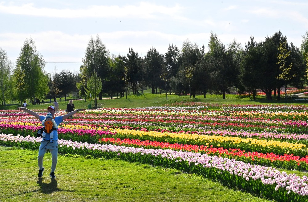 Some Photos: In Flowers