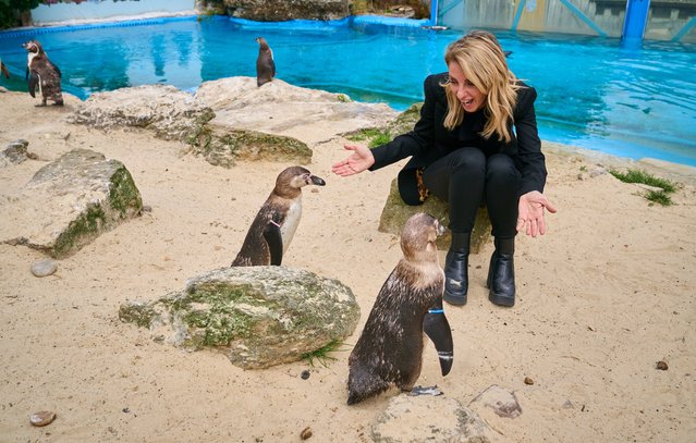 Britain’s Got Talent 2024 star, Geneviève Côté in the first decade of July 2024 joins forces with leading family attraction, Chessington World of Adventures Resort, to teach children and their parents how to develop and perfect their animal impressions in a brand new interactive wildlife themed show: Wild Noises & Animal Voices. (Photo by Simon Jacobs/PinPep)