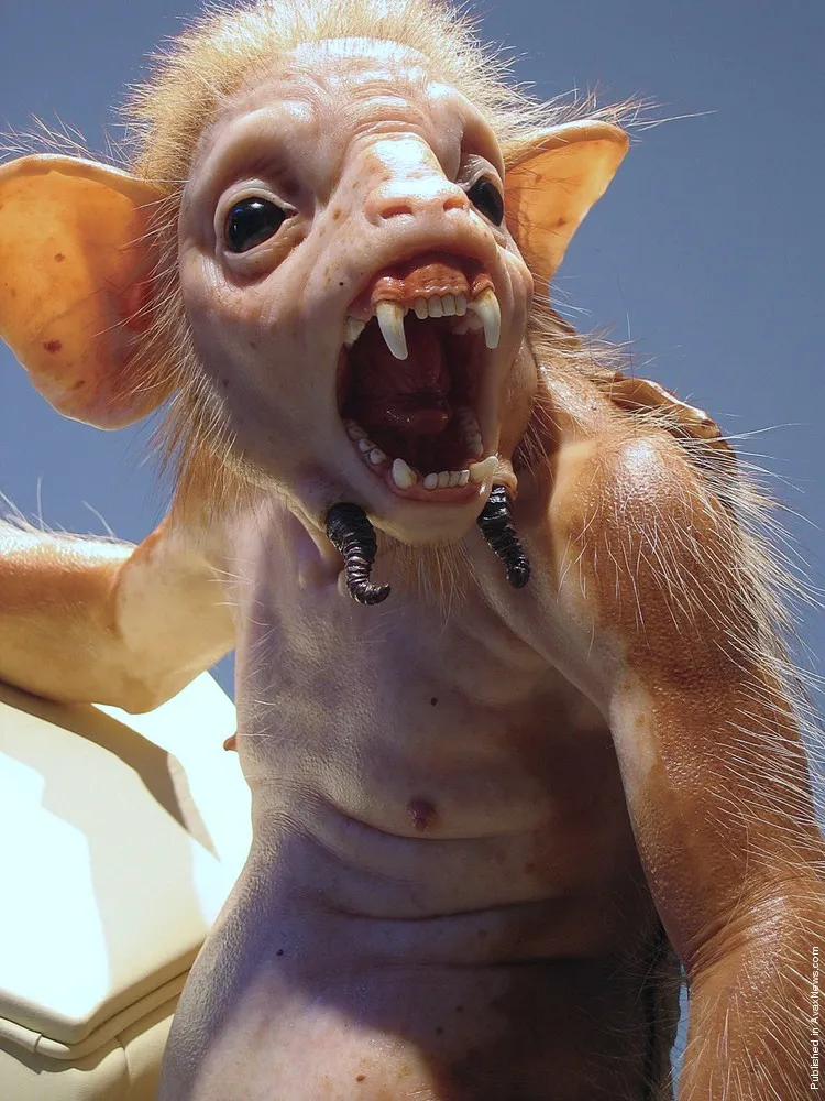 Sculptures by Patricia Piccinini