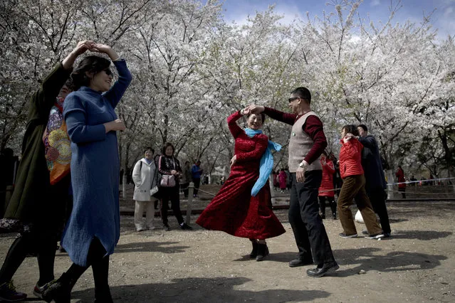 In this March 30, 2019, file photo Chinese people enjoy a social dance near cherry blossoms at the Yuyuantan Park during a spring festival in Beijing. (Photo by Andy Wong/AP Photo/File)