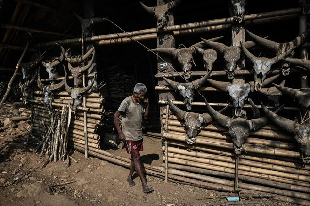 This photo taken on February 5, 2020 shows a man walking in front of his house decorated with gayal horns in Satpalaw Shaung village, Lahe township in Myanmar's Sagaing region. (Photo by Ye Aung Thu/AFP Photo)