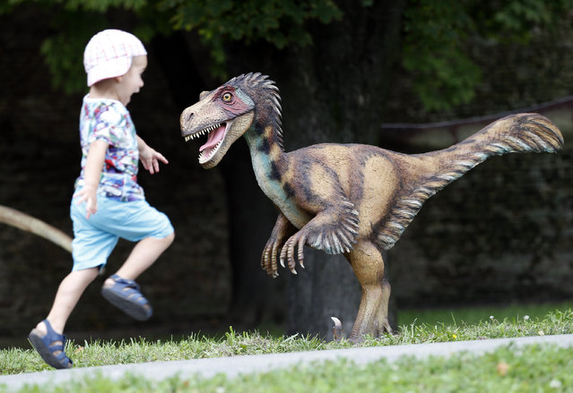 A boy runs past one of the exhibits during the Dinosaurs exhibition in Belgrade, Serbia, Thursday, August 21, 2014. “Dino Park” has opened at Belgrade's Kalemegdan Fortress. (Photo by Darko Vojinovic/AP Photo)