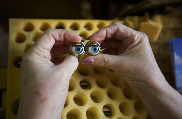 Australian doll repairer Kerry Stuart, a 25-year veteran at Sydney's Doll Hospital, matches a pair of eyes from her stock to be inserted into a customer's doll undergoing repairs, June 17, 2014. (Photo by Jason Reed/Reuters)