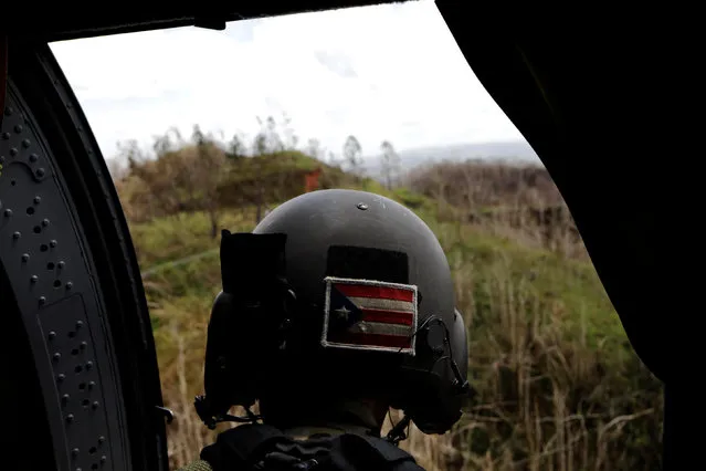 Sergeant First Class Eladio Tirado, who is from Puerto Rico, looks for a landing spot for a UH-60 Blackhawk helicopter from the First Armored Division's Combat Aviation Brigade, during recovery efforts following Hurricane Maria near Ciales, Puerto Rico, October 7, 2017. (Photo by Lucas Jackson/Reuters)