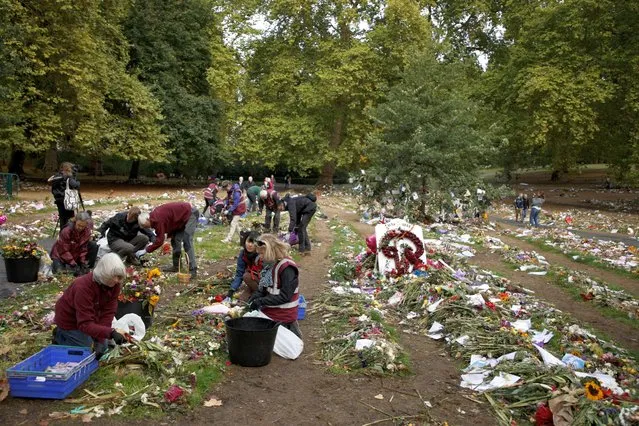 Volunteers begin to clear flowers left for Britain's Queen Elizabeth II from Green Park, one week after her state funeral, in London, Monday, September 26, 2022. The flowers are to be turned into compost. (Photo by David Cliff/AP Photo)