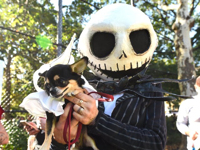 A man poses with his dog in costume during the 27th Annual Tompkins Square Halloween Dog Parade in Tompkins Square Park in New York on October 21, 2017. (Photo by Timothy A. Clary/AFP Photo)