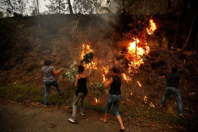 Civilians fight against the active front of a forest fire near Agueda, Portugal August 12, 2016. (Photo by Rafael Marchante/Reuters)