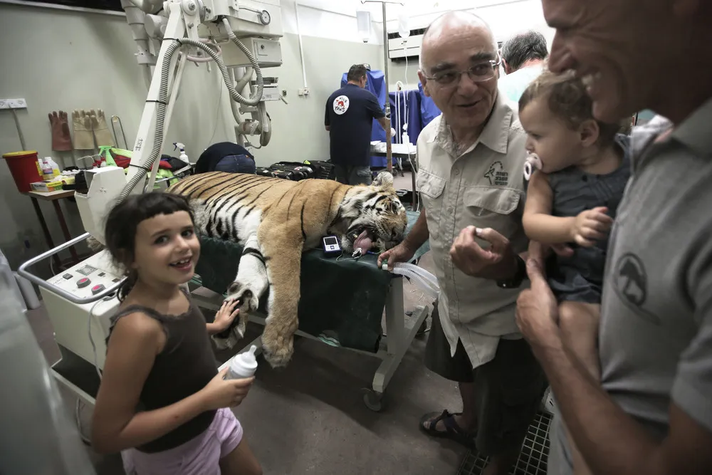 The Day in Photos – August 25, 2016