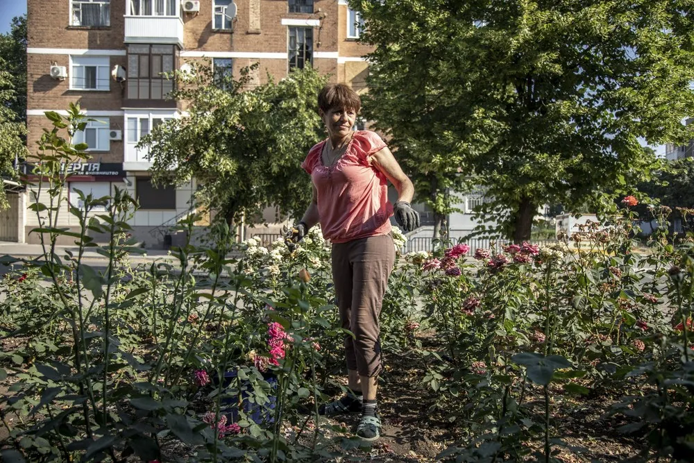 Some Photos: In Flowers